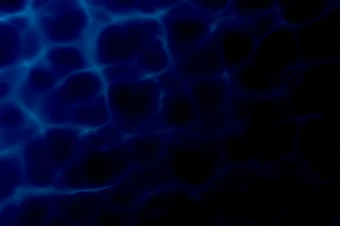 Romantic raindrops NTSC 스톡 동영상 401683