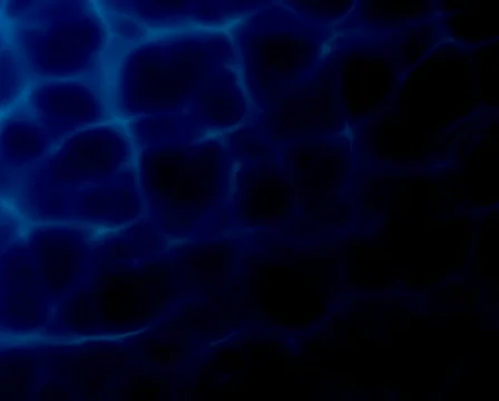 Romantic raindrops PAL Stock Footage 401681