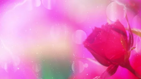 Romantic red rose background is seamlessly looped Stock-Footage 160611117
