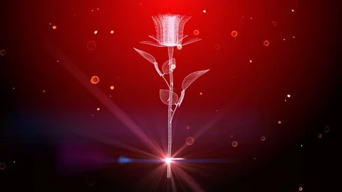 Romantic red rose engagement background Stock Footage 102803516