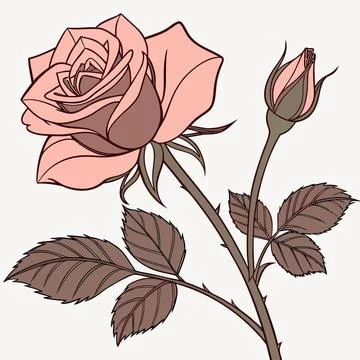 Romantic Red Rose Flower Vector Illustration Stock Illustration