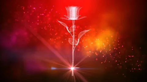 Romantic red rose love background Stock Footage 102803636