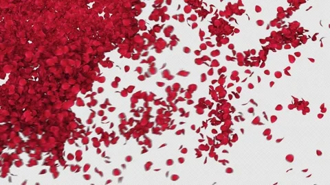 Romantic Red Rose Petals Alpha Transition Stock Footage 326020864