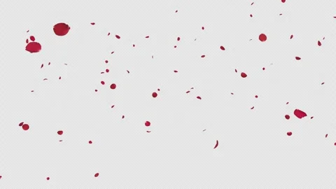 Romantic Red Rose Petals Falling Alpha Stock Footage 314055183