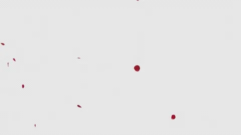 Romantic Red Rose Petals Falling Alpha Clip Stock Footage 327888554