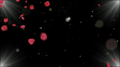 Romantic red rose petals falling with glowing light rays with background Stock Footage 342111770