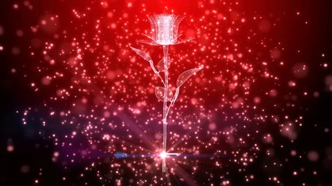 Romantic red rose valentines background Stock Footage 102803662