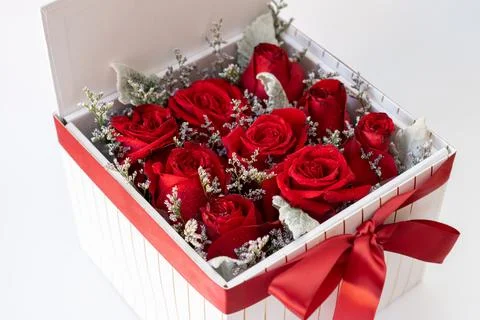Romantic red roses in a square white gift box. on white background Stock Photos