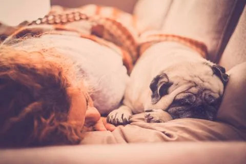 Romantic relationship human and dog concept - caucasian people woman sleep on Stock Photos