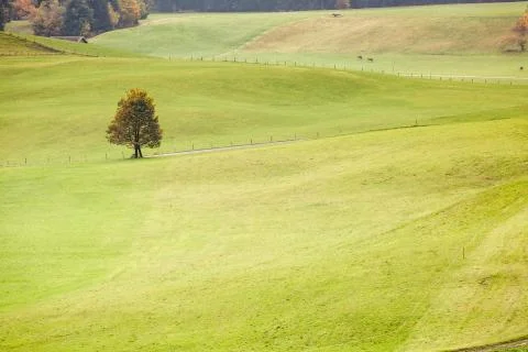 Romantic road, Germany Stock Photos