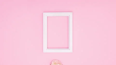 Romantic rose come inside of white frame on pink theme. Stop motion Stock Footage 137864031