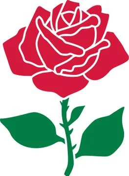 Romantic rose flower Stock Illustration