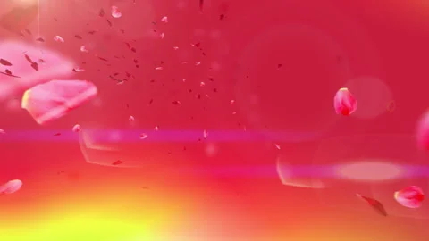 Romantic Rose Petals Background Loop Stock-Footage 240104036