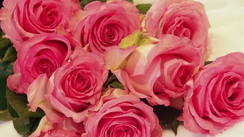 Romantic roses Stock Footage 234367870