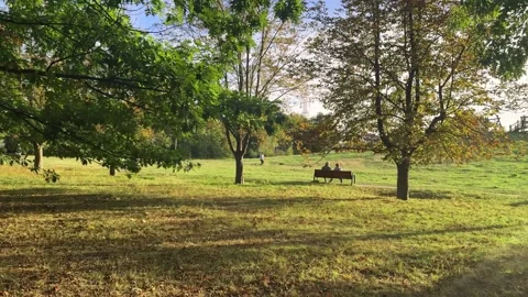 Romantic Scene in Autumn Park with Elderly Couple Stock Footage 308258237