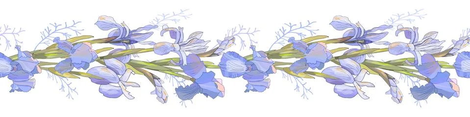 Romantic seamless border with irises. Vector hand drawn illustration for desi Stock Illustration