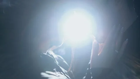 The romantic setting of young lovers armed with eternal love is lovingly Stock Footage 154452405