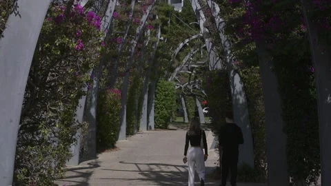 Romantic shot of couple walking under path of flowers Stock Footage 160448451