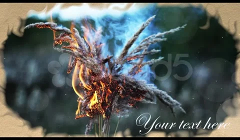 Romantic Slideshow After Effects stock