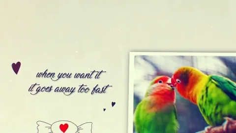 Romantic Slideshow After Effects stock