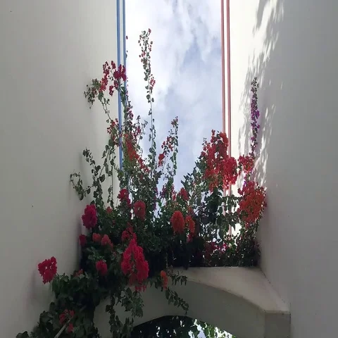 Romantic small streets of Mogan. Gran Canaria. Spain Stock Footage 69725039