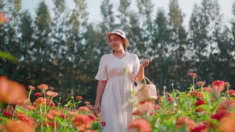 Romantic smiling model crossing nature in summer garden, enjoying the fragrance  Video stock 260477541
