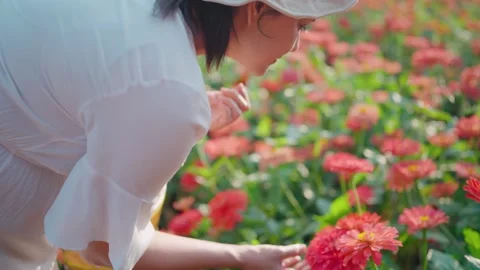 Romantic smiling model looking down at beautiful flowers Stock Footage 260477546