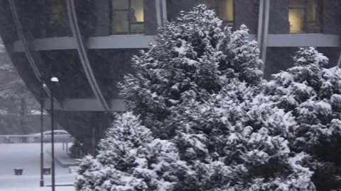 Romantic snowfall in the city. Stock Footage 277535666