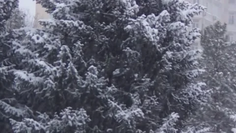 Romantic snowfall in the city. Stock Footage 277535668