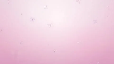 Romantic soft pink background with floating butterflies loop animation Stock Footage 342608692