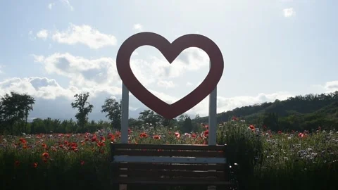 A Romantic Spot: A Bench with a Heart Frame in Nature Stockbeeldmateriaal 245576977