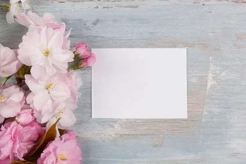 Romantic spring background. Stock Photos
