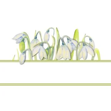 Romantic spring frame with snowdrops on the inner edge on a white isolated Stock Illustration