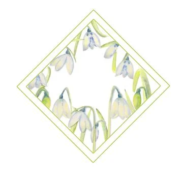Romantic spring frame with snowdrops on the inner edge on a white isolated Stock Illustration