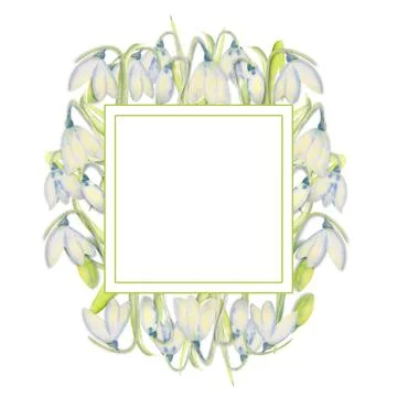 Romantic spring frame with snowdrops on the outer edge on a white isolated Stock Illustration
