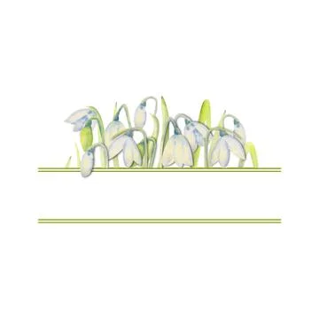 Romantic spring frame with snowdrops on the outer edge on a white isolated ba Stock Illustration