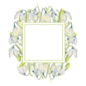 Romantic spring frame with snowdrops on the outer edge on a white isolated ba Stock-Illustration