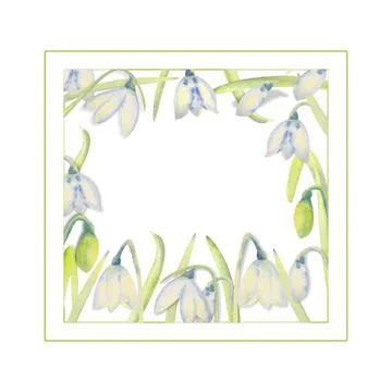 Romantic spring frame with snowdrops on the outside edge on a white isolated Illustrazione stock