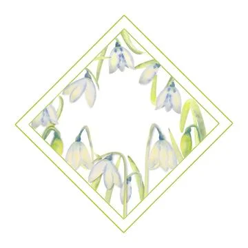 Romantic spring frame with snowdrops on the outside edge on a white isolated Stock Illustration