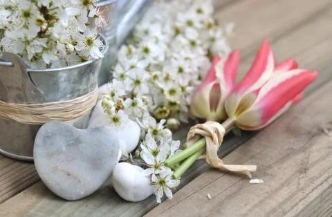 Romantic  spring Stock Photos