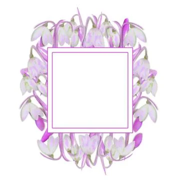 Romantic square frame with snowdrops on the outer edge on a white isolated ba Stock Illustration