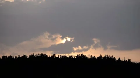 Romantic sunset with clouds above tree silhouettes Stock Footage 67171734
