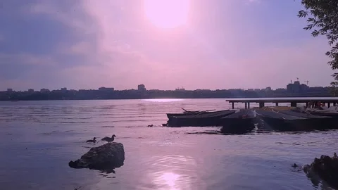 Romantic sunset evening on a boat pier in a park. Ducks swimming in a lake Stock Footage 157002154