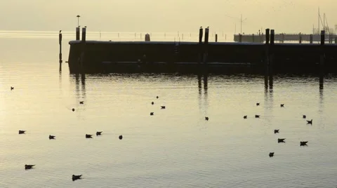 Romantic sunset Video stock 45681746