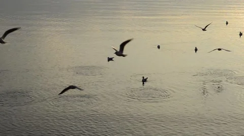 Romantic sunset 動画素材 45681758