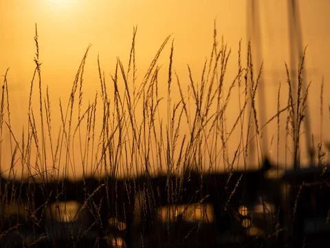 Romantic sunset at the harbor Stock Photos