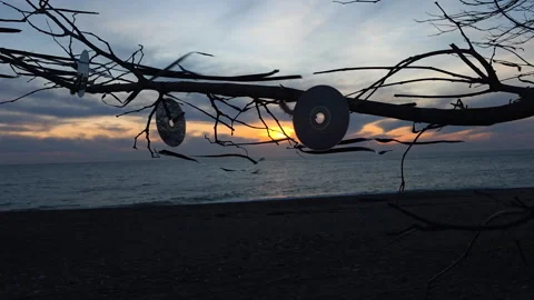 Romantic sunset on a pebble beach with a leafless tree branch silhouette and old Vídeo Stock 329611488