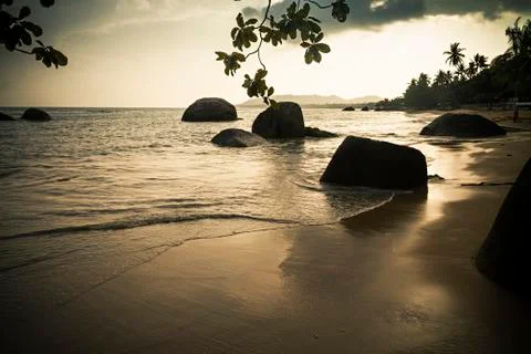 Romantic Sunset on sandy beach Stock Photos