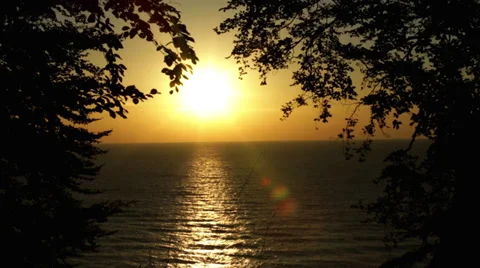 Romantic Sunset Through Branches Of Trees At The Ocean On Rügen Island Video stock 37208148