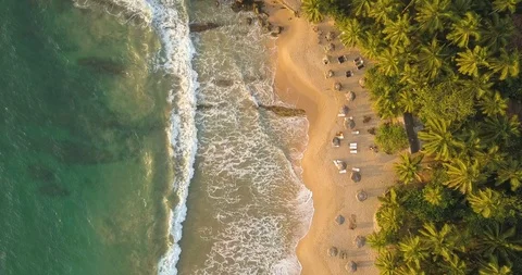Romantic sunset on a tropical beach with palm trees. Sri Lanka, Drone footage Vídeo Stock 104636529